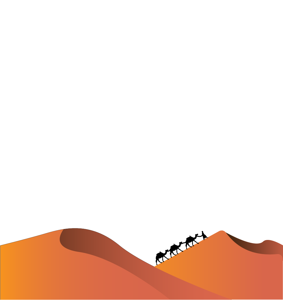 dubai desert safari excursion 