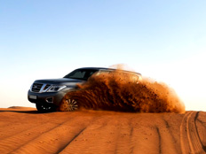 Morning Desert Safari: Dune bashing adventure